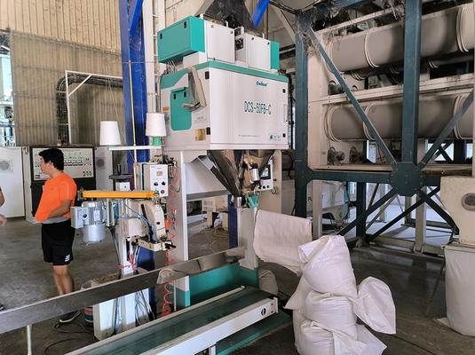Máquina de embalagem manual automática 5kg do arroz de Ewinall DCS-50FB-C 10kg 15kg 25kg