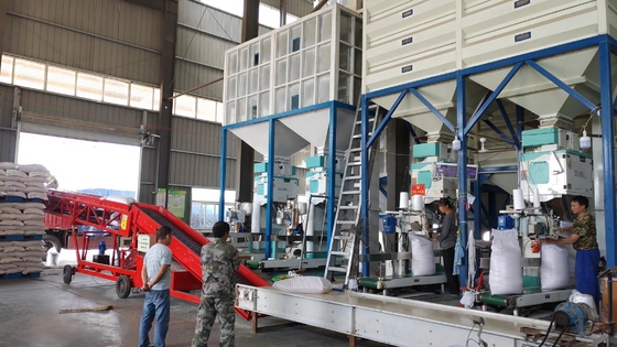 Levantamento automático de alta velocidade da máquina de empacotamento 5-50KG do grânulo da elevada precisão