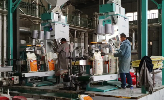 A embalagem de peso alta da grão da precisão faz à máquina DCS-50FB3+ 5 - a embalagem 50KG rápida