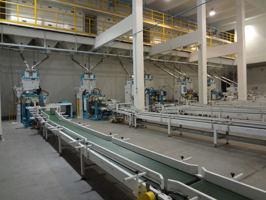 Linhas de empacotamento automatizadas Multifunction sistema do movimento servo de Palletzing do robô de Converying
