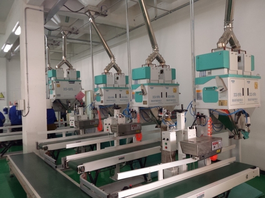 EWINALL pesam PLC 500g 30kg da máquina de empacotamento do enchimento
